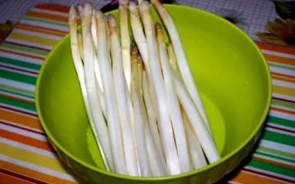 fotó