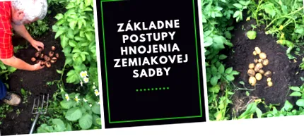 pentru