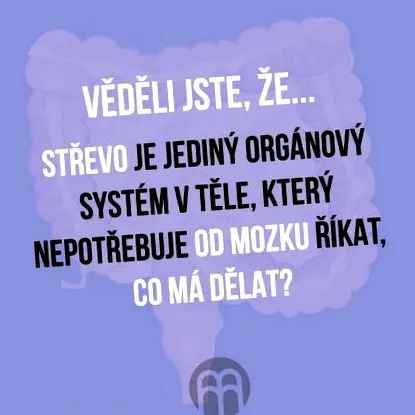 fundamentul sănătății