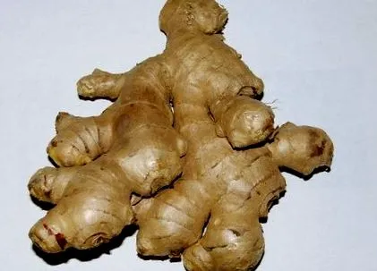 izomfájdalommal gyömbér