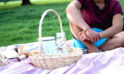 picnic prieteni