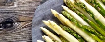 organismul organismul