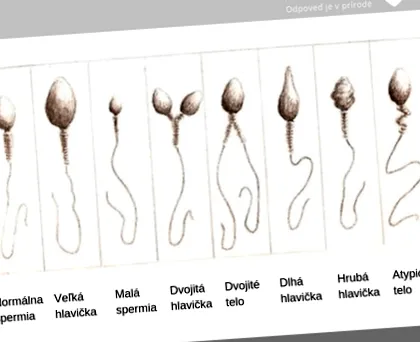 fapte spermă