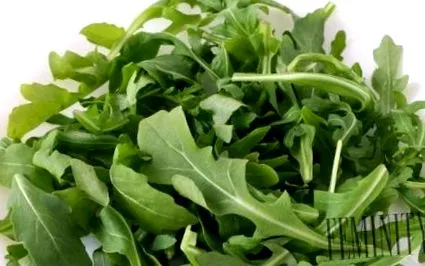 zici rucola