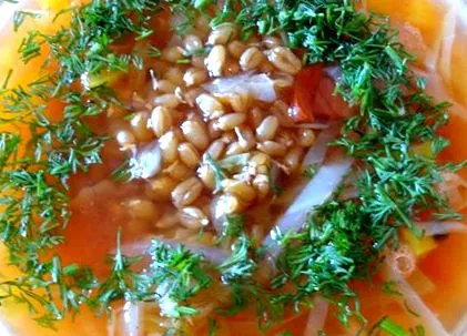 tippek búza