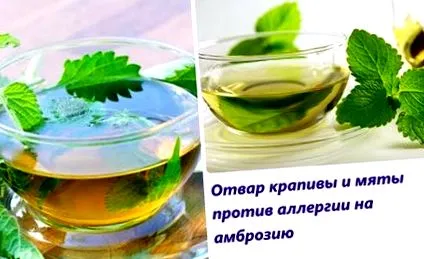 tippek