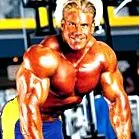 muscle