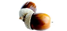 bucăți mici