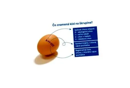 ориентирате ориентирате