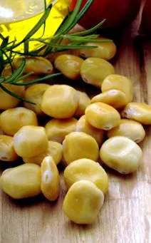 fasolea sursă