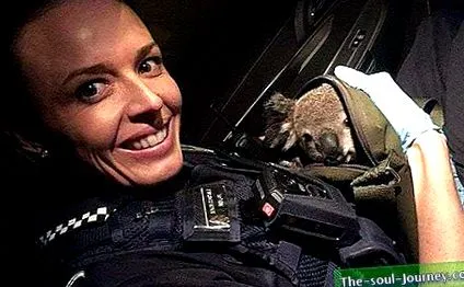 poliția australiană