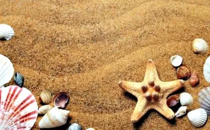 beachrelax turism