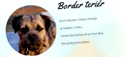 frontieră este border