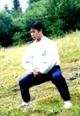 slovacă wushu