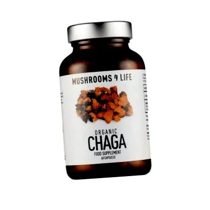 chaga