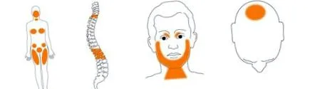 proces regenerare