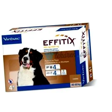 effitix blueprints