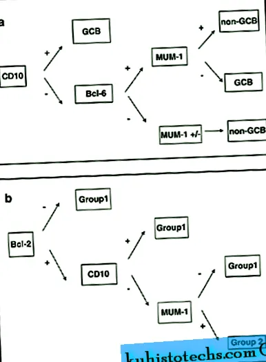 difuz celule