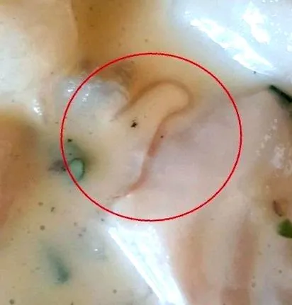 cina