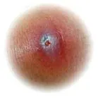 copii
