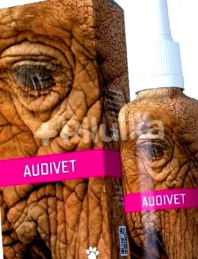 audivet