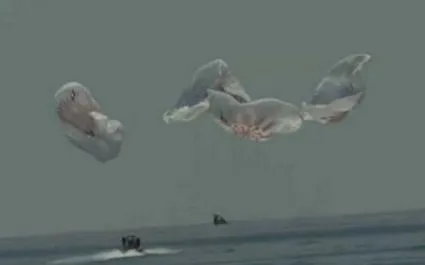 spacex