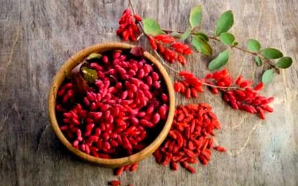 fructele goji goji