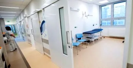 institutul