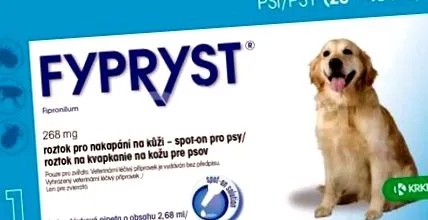 kutyák csepegtető