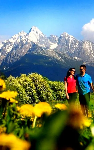 montane