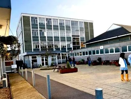 studii