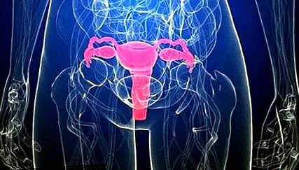 test cancerului