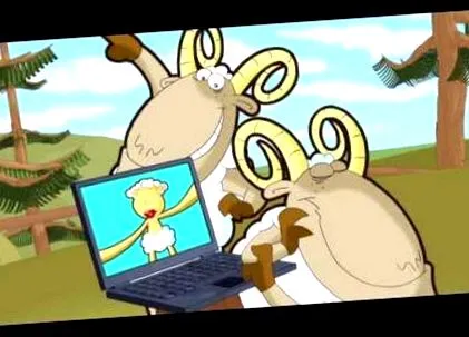 ovine ovine