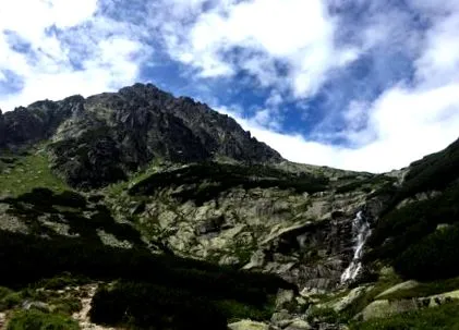 copii
