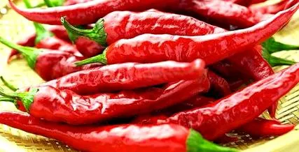 capsaicina ardeii