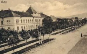 căzut căzut