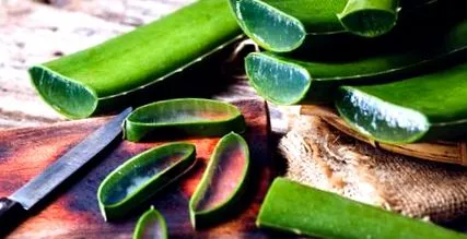 aloe