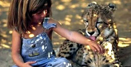 tippi micul