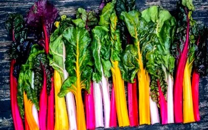 chard