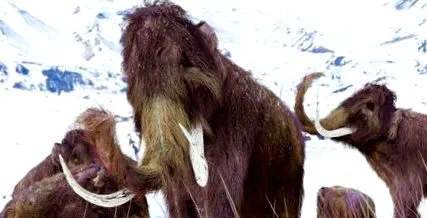 mamutok