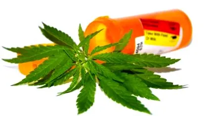 consumului marijuana consumului marijuana
