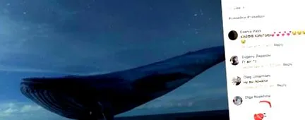 медийното отразяване медийното отразяване