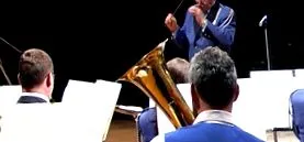 melodii muzică