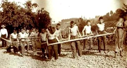 elveției recentă