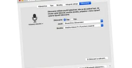 гласово въвеждане