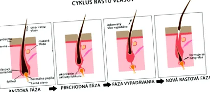 salon estetică