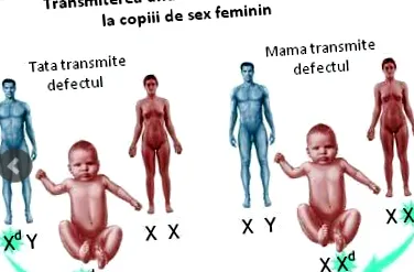 koagulálja olyan