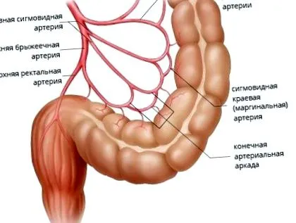 симптоми болест