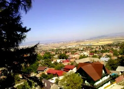 нега