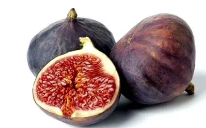 spôsobom